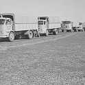 417COMBOYS Y SMARA 1970